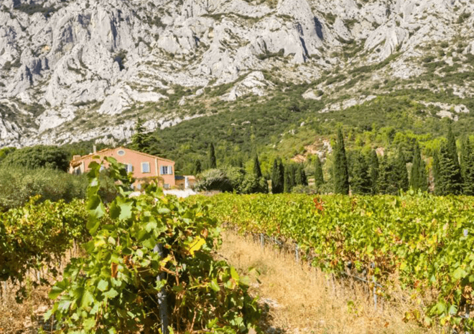 circuit touristique "Alpilles" avec chauffeur privé VTC. Route des vins en Provence