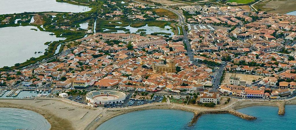 Chauffeur VTC à la découverte de la Camargue - circuit touristique Camargues